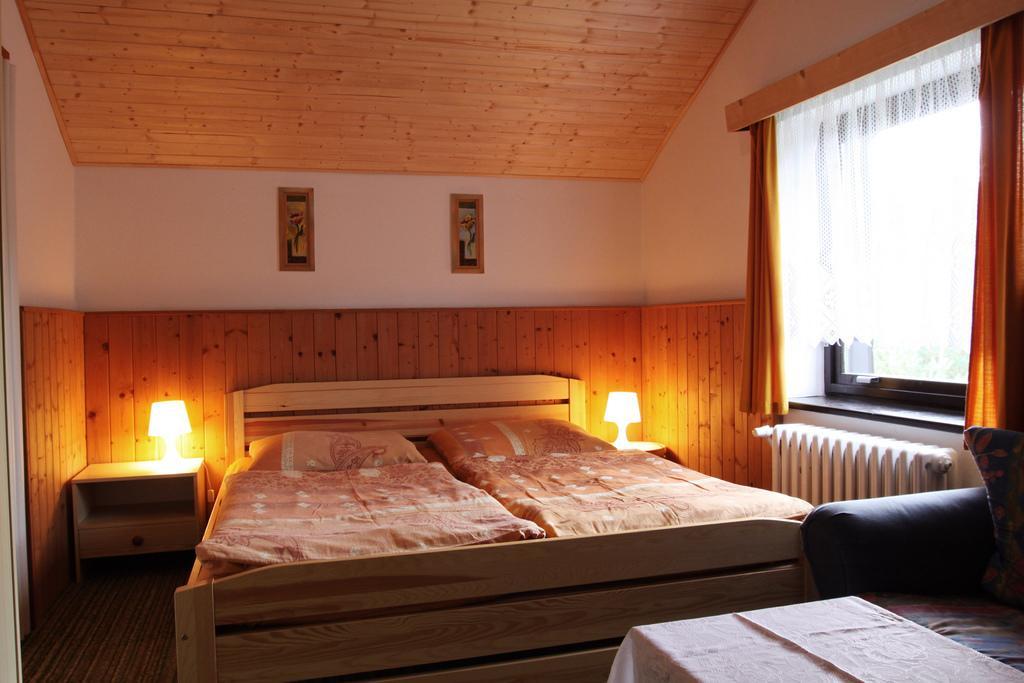 Pension Jana Harrachov Ruang foto